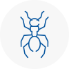 Ant Removals In Huntington