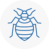 Bed Bug Extermination In Huntington