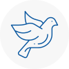 Bird Prevention Huntington