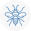 Huntington Hornet Nest Removals