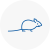 Mice Exterminators In Huntington