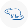 Rat Control Huntington
