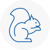 Huntington Rodent Removals