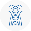 Huntington Wasp Nest Removal